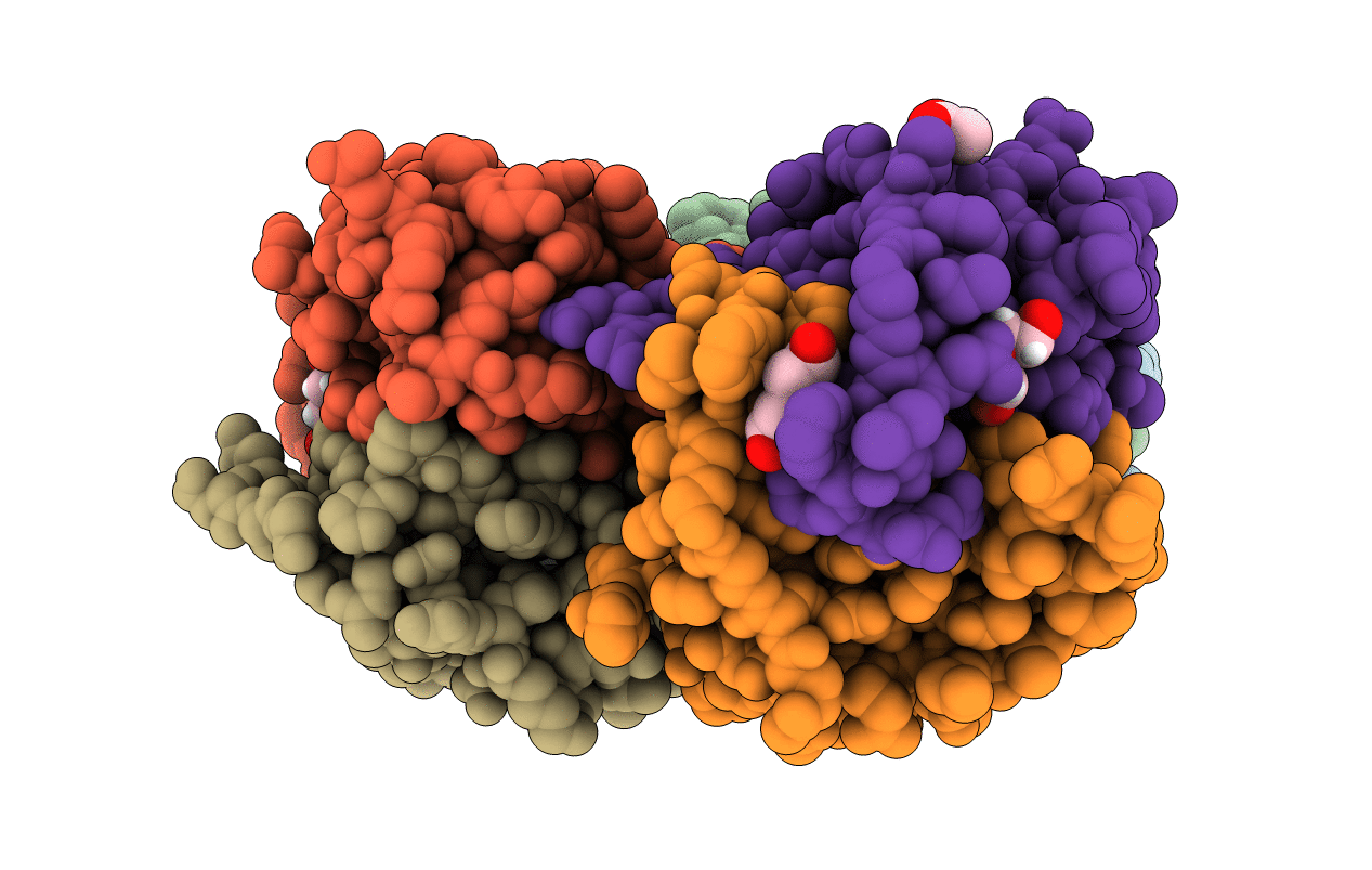 5YPP image