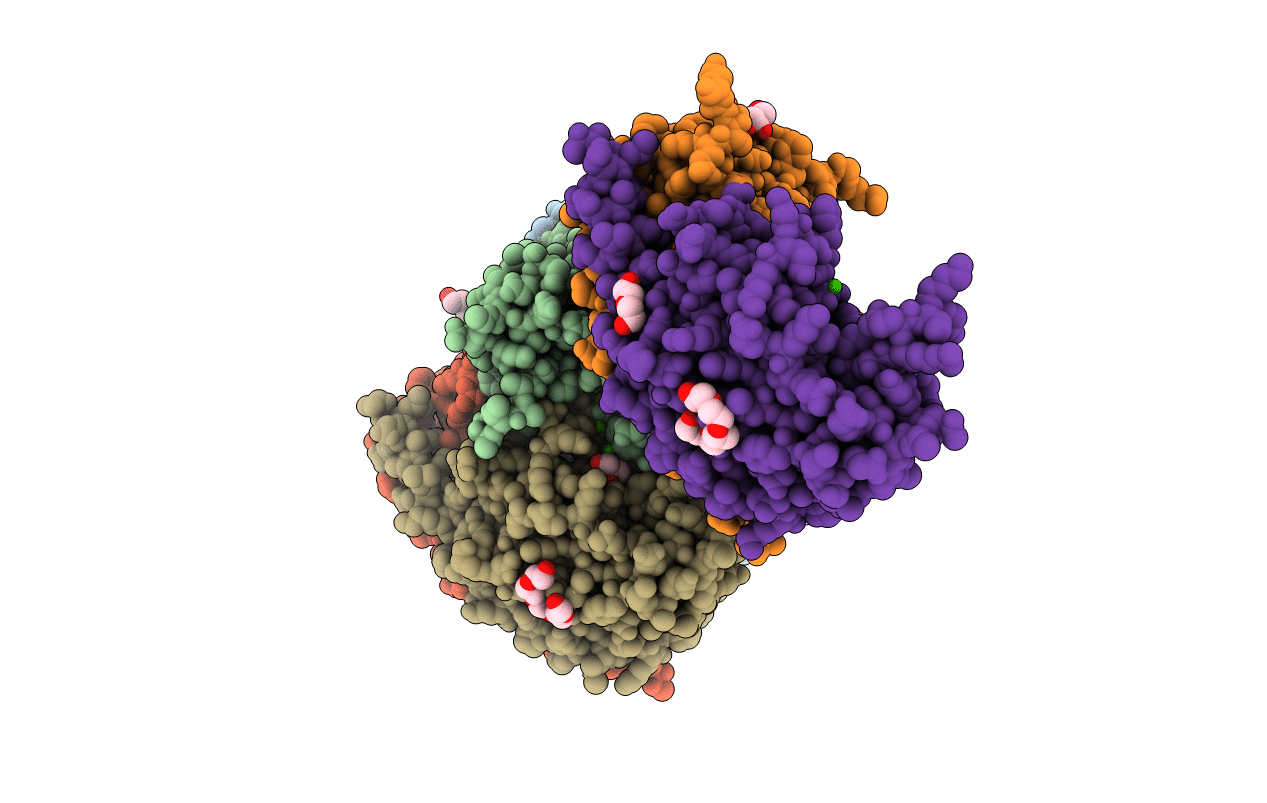 5YPS image