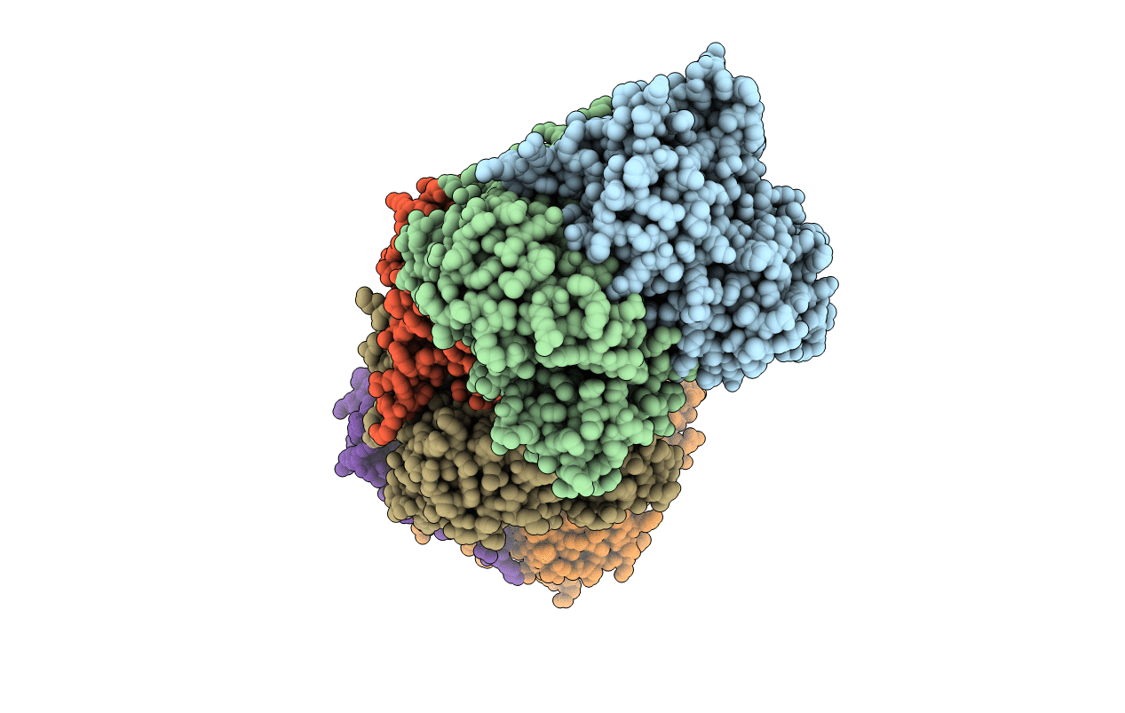 5YPT image