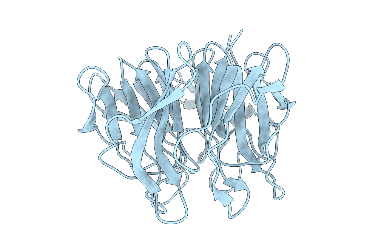 5YQ4 image