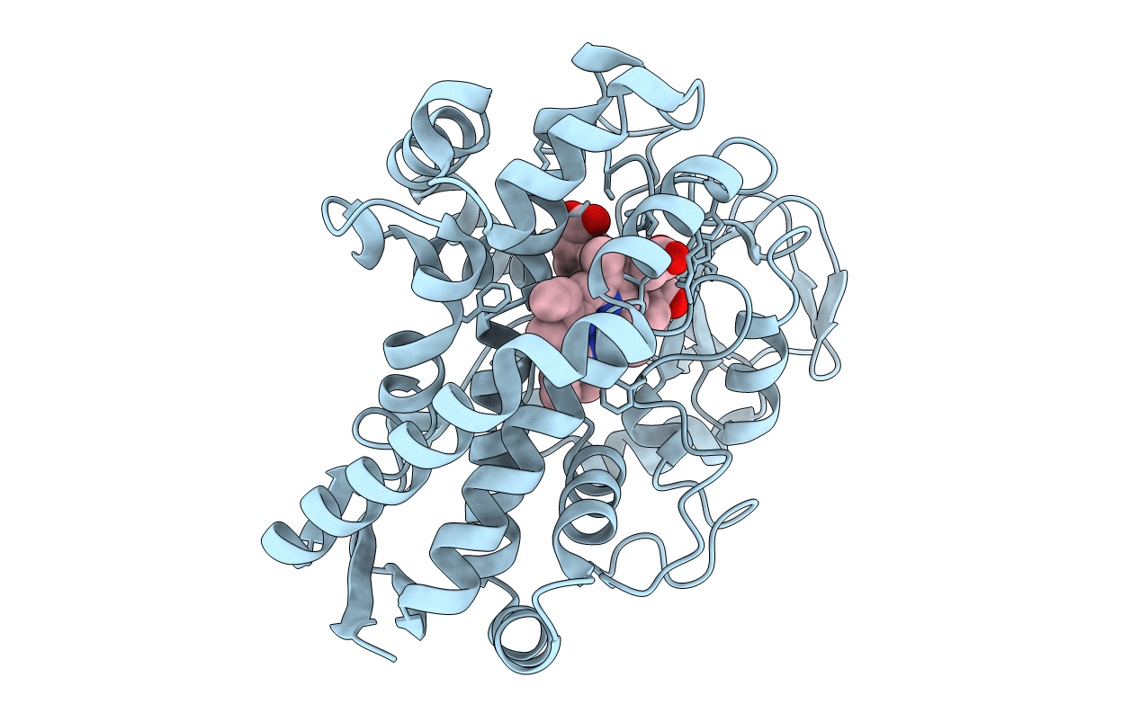 5YQA image