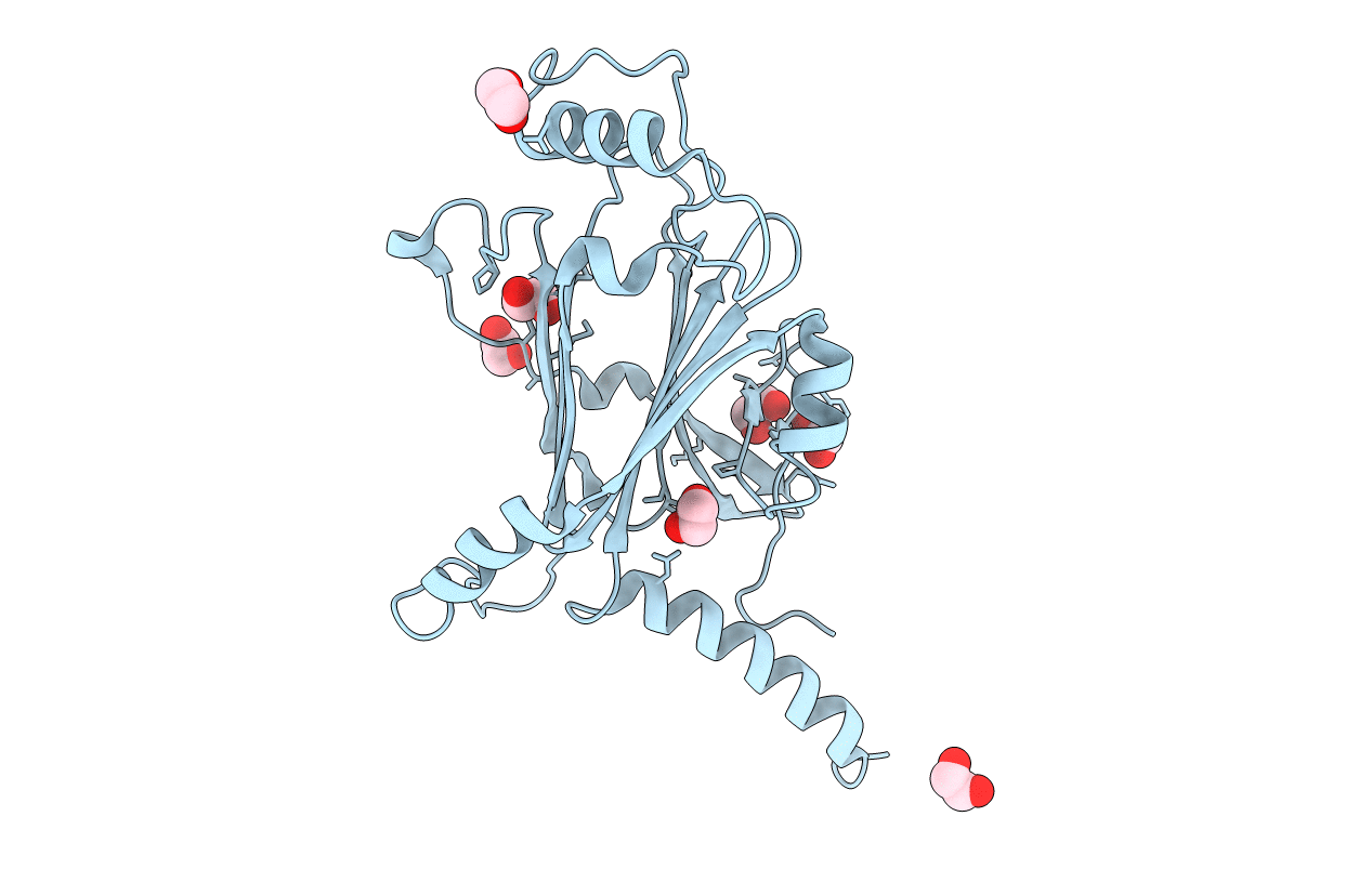 5YRA image