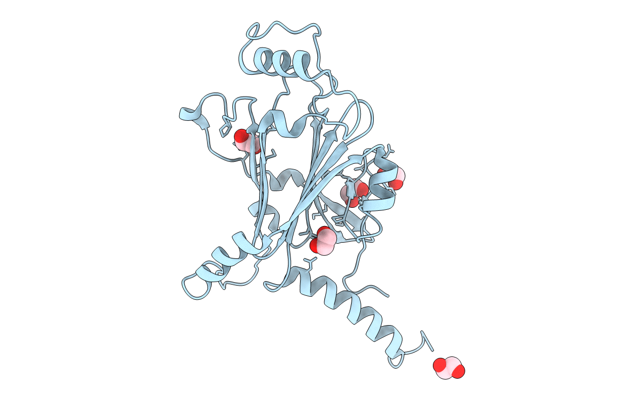 5YRC image