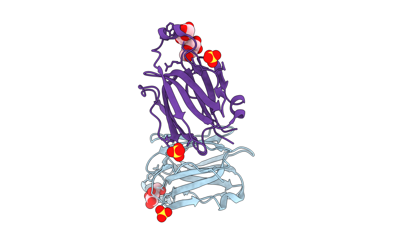 5YRI image