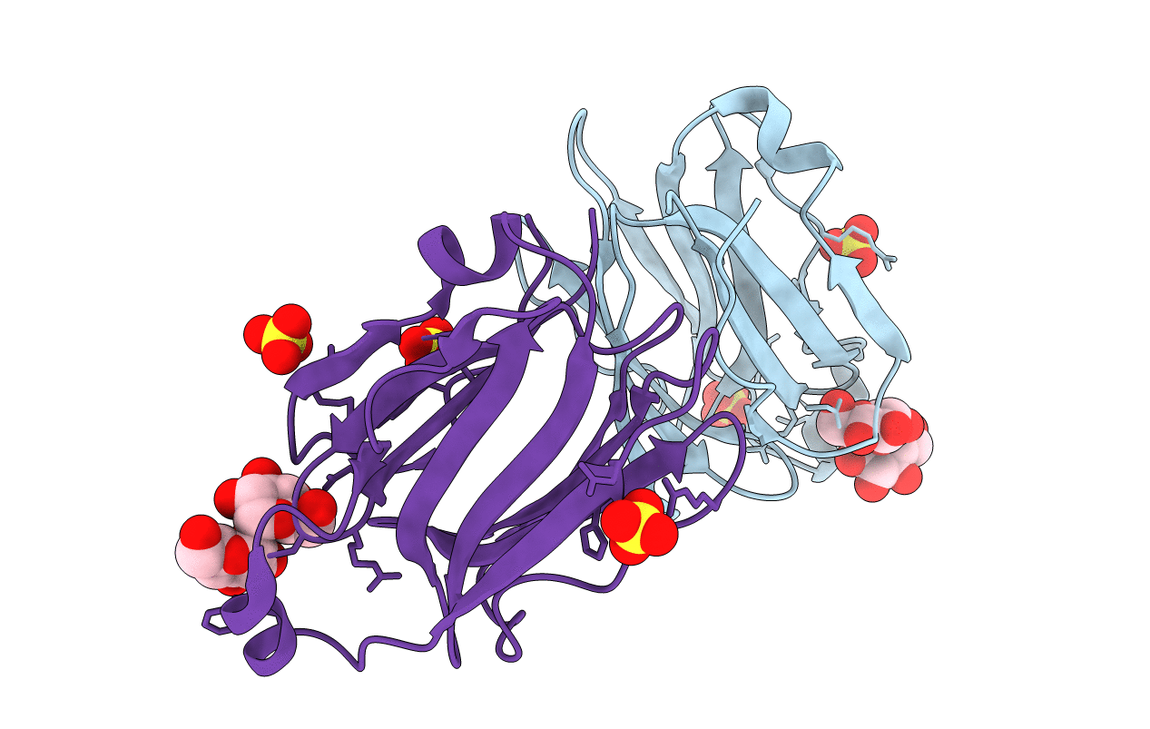5YRL image