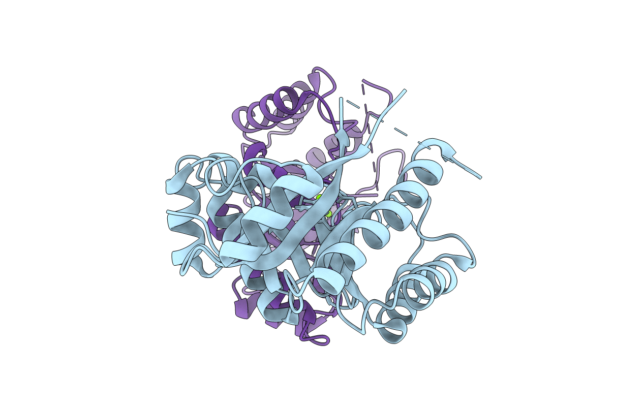 5YRP image