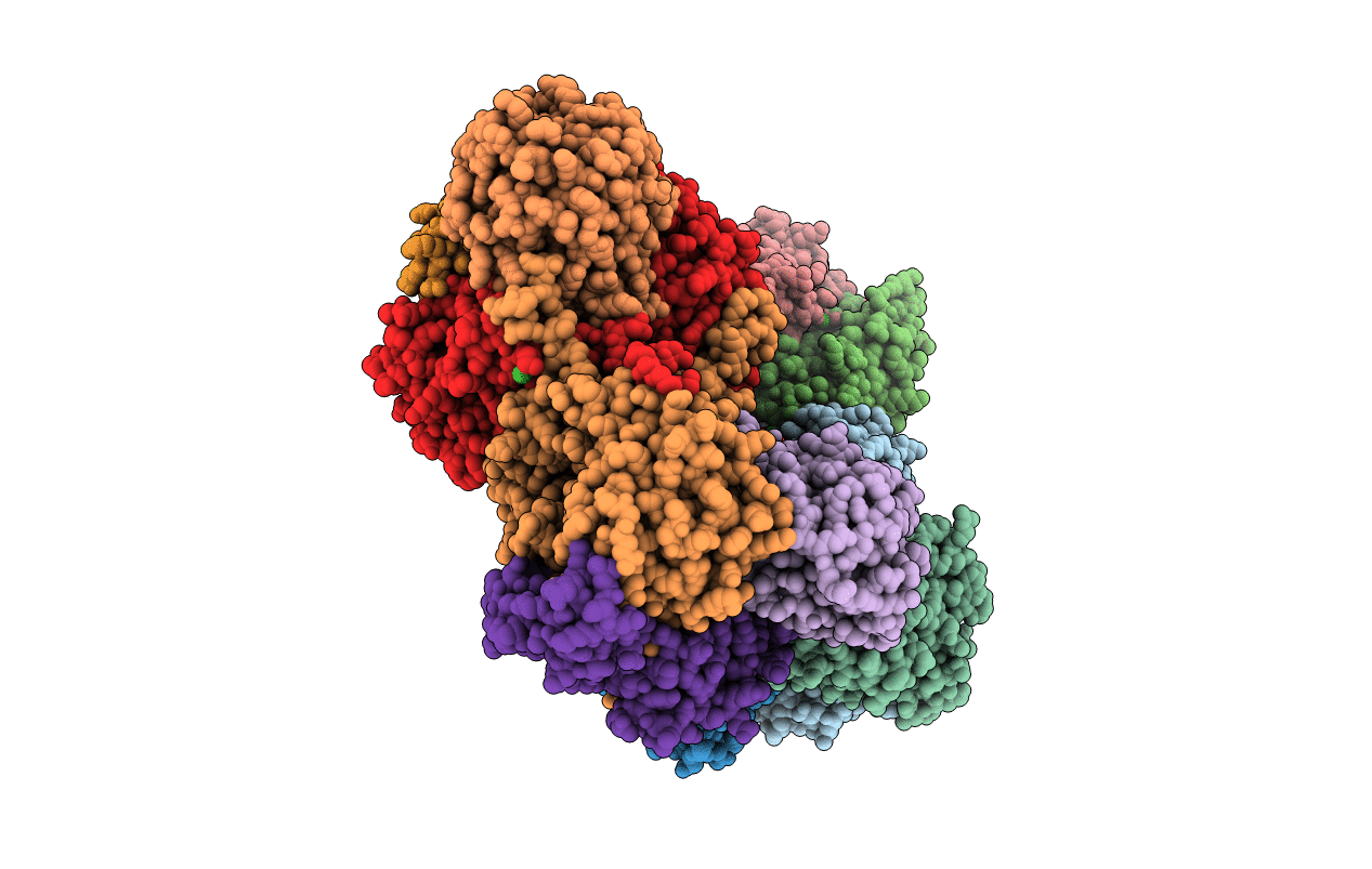 5YRT image