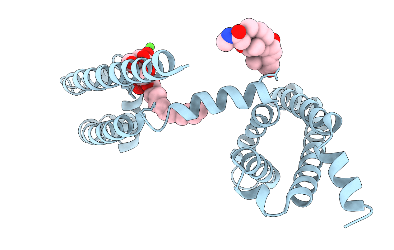 5YUC image