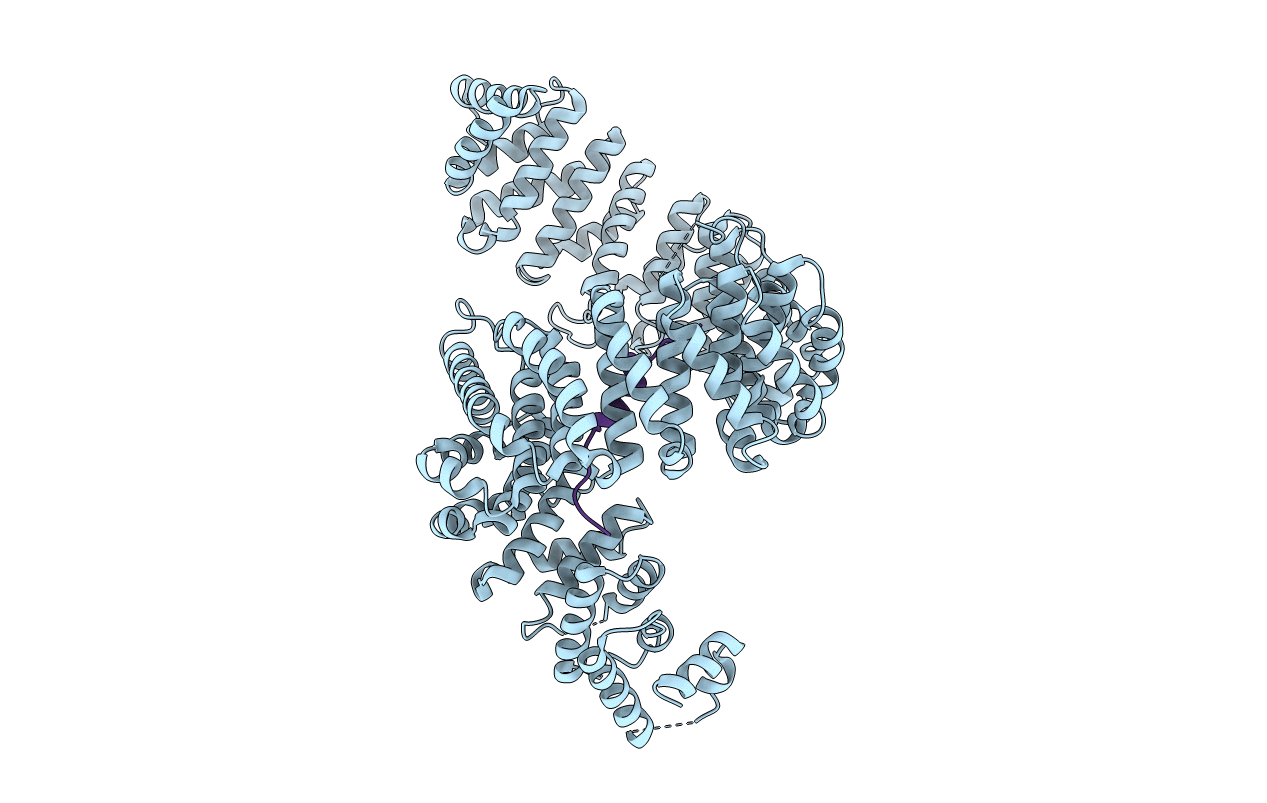 5YVH image
