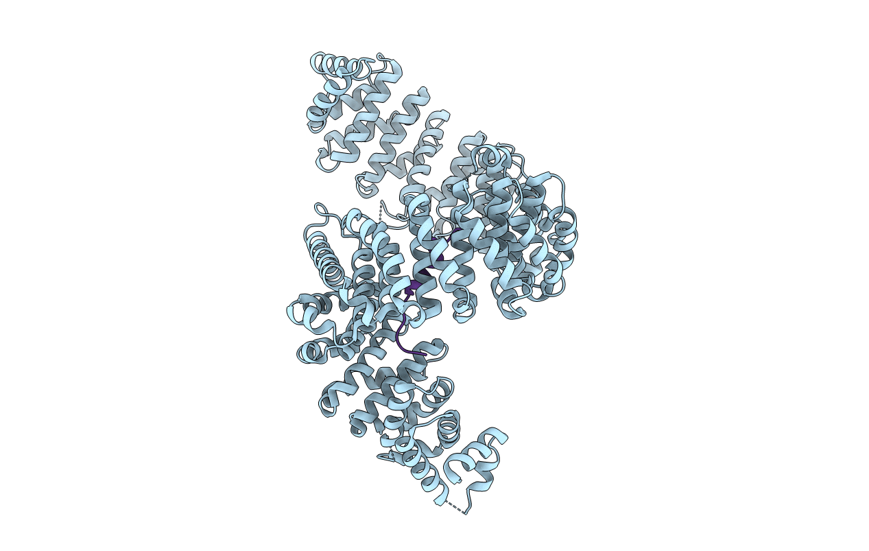 5YVI image