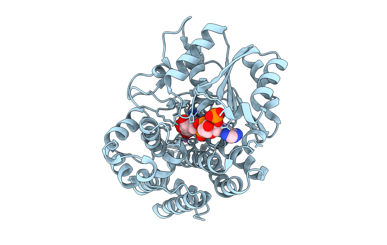 5YVM image
