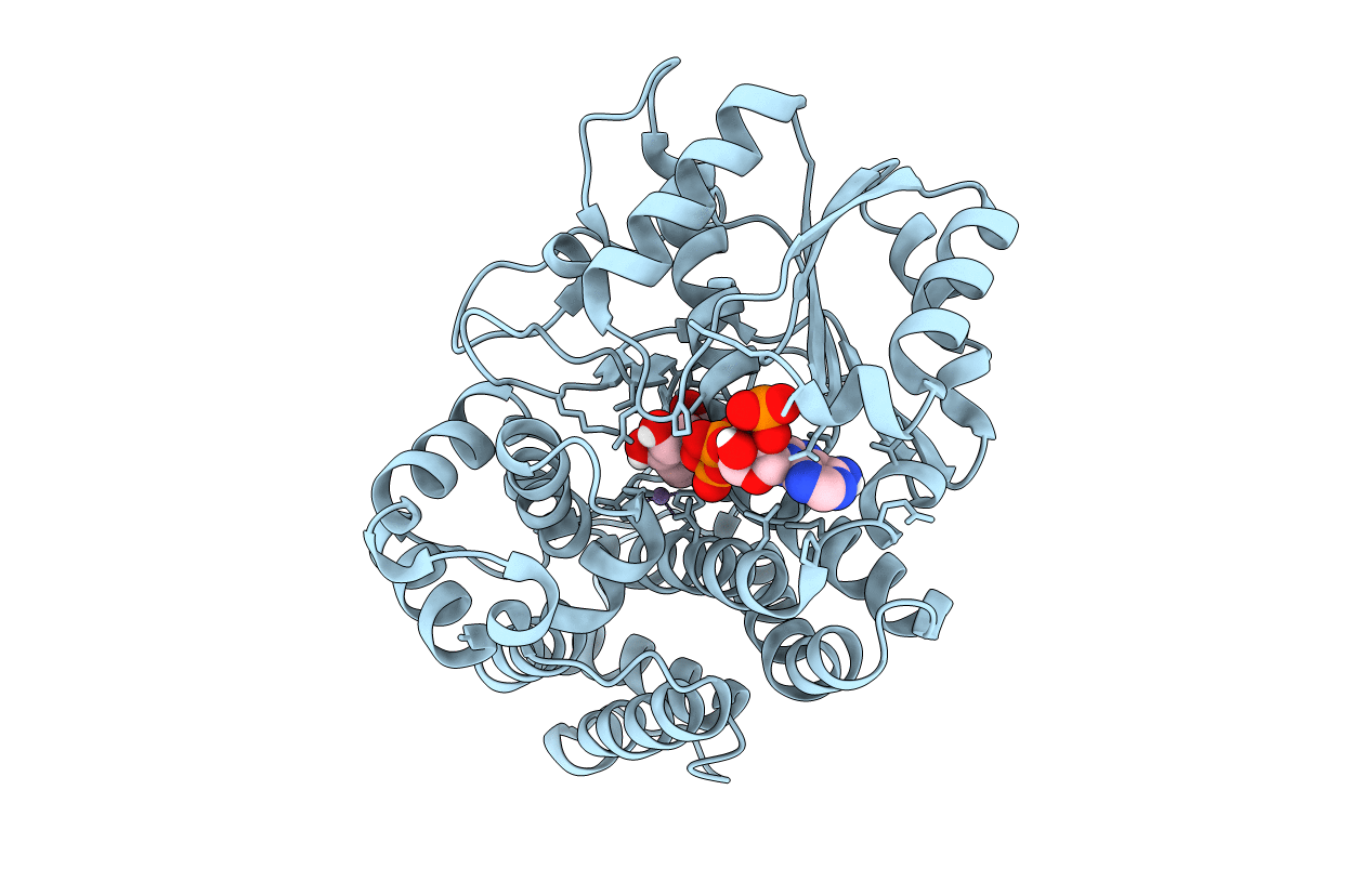 5YVS image