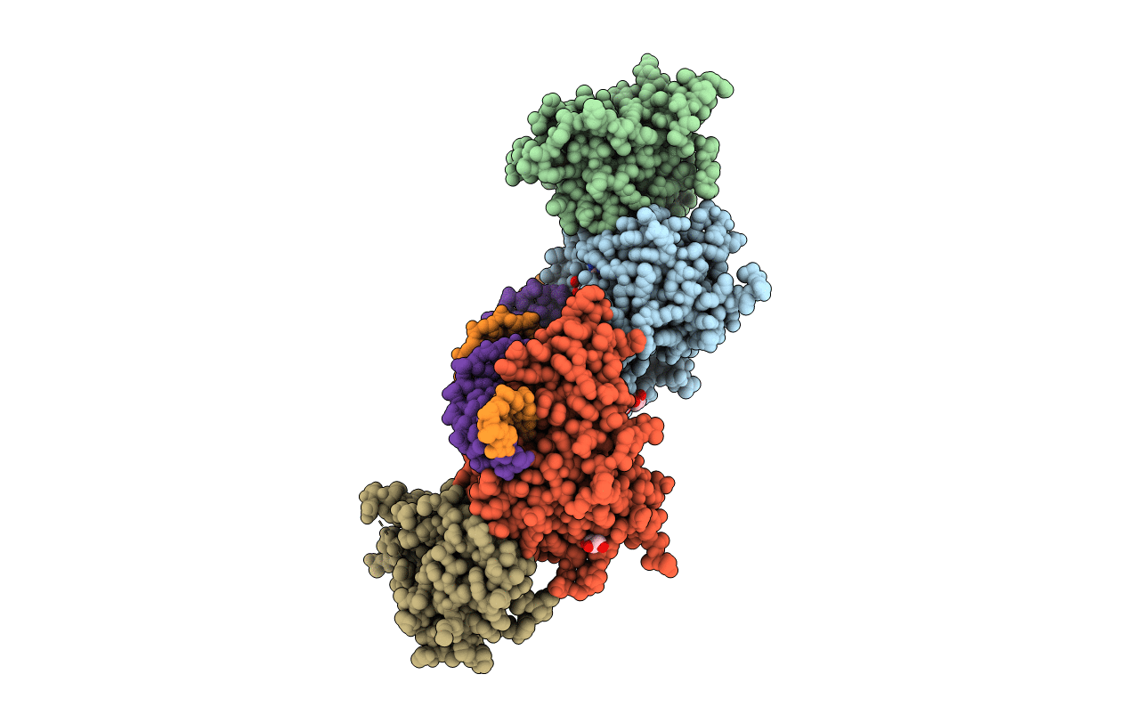 5YX2 image