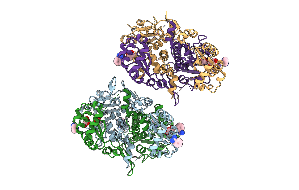 5YX6 image