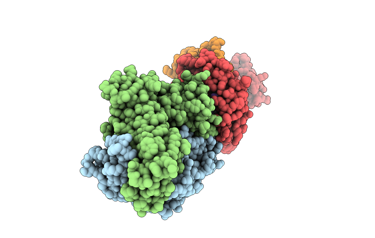5YXN image
