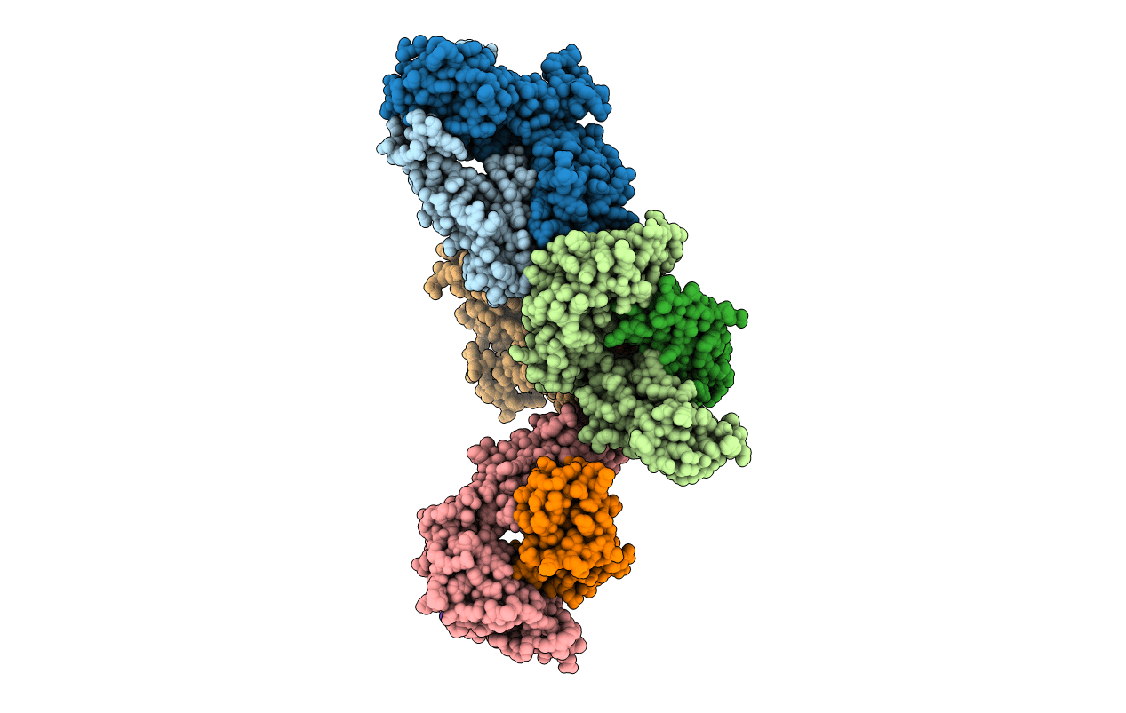 5YXU image