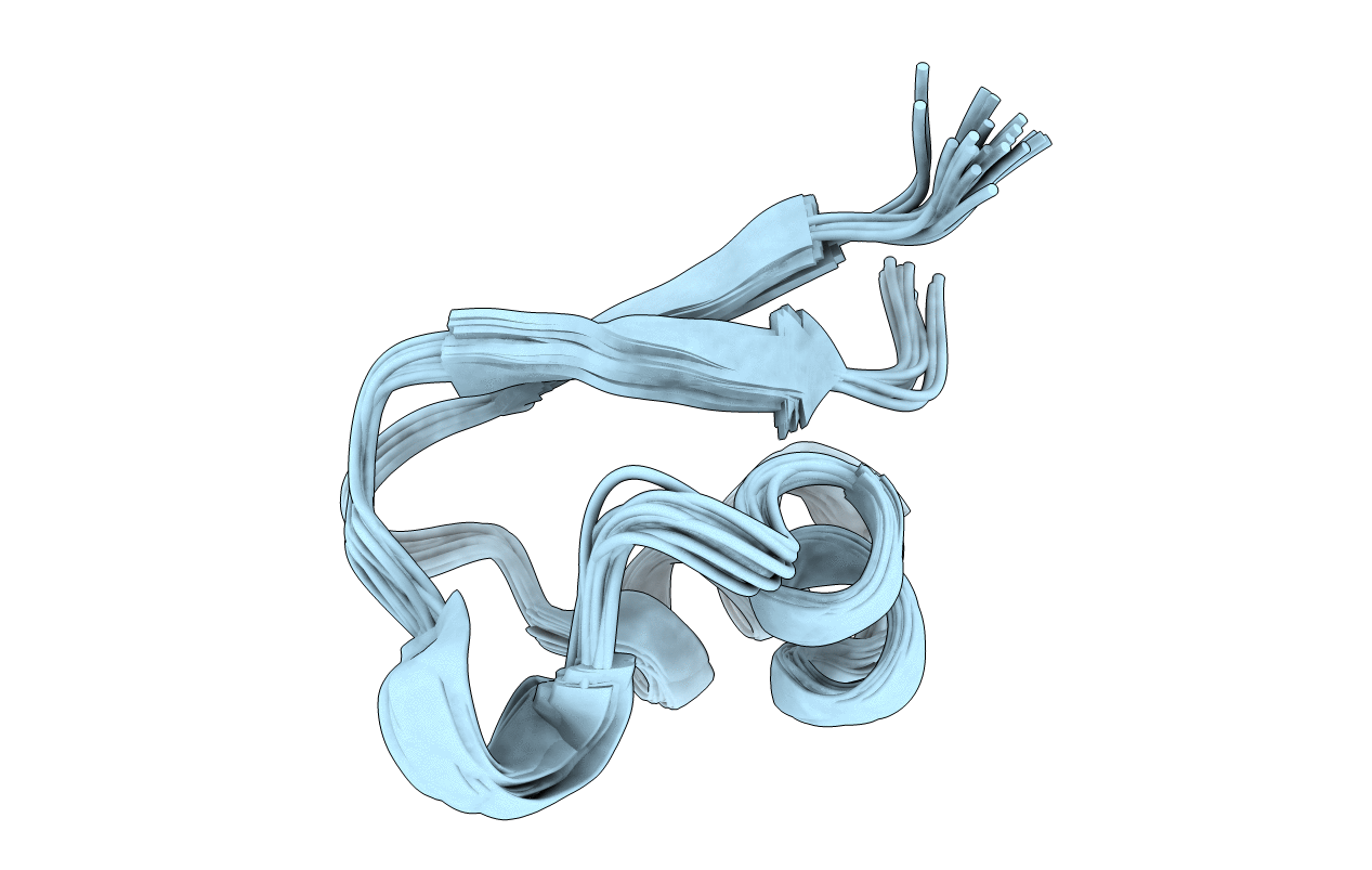 5YZ6 image