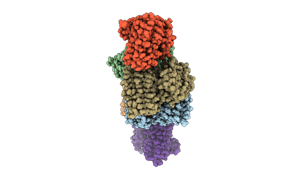 5Z09 image