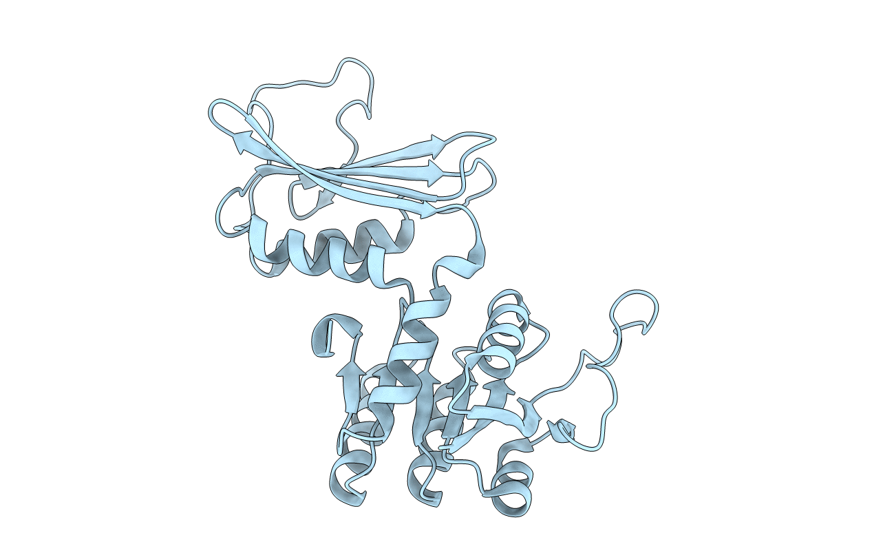 5Z2D image