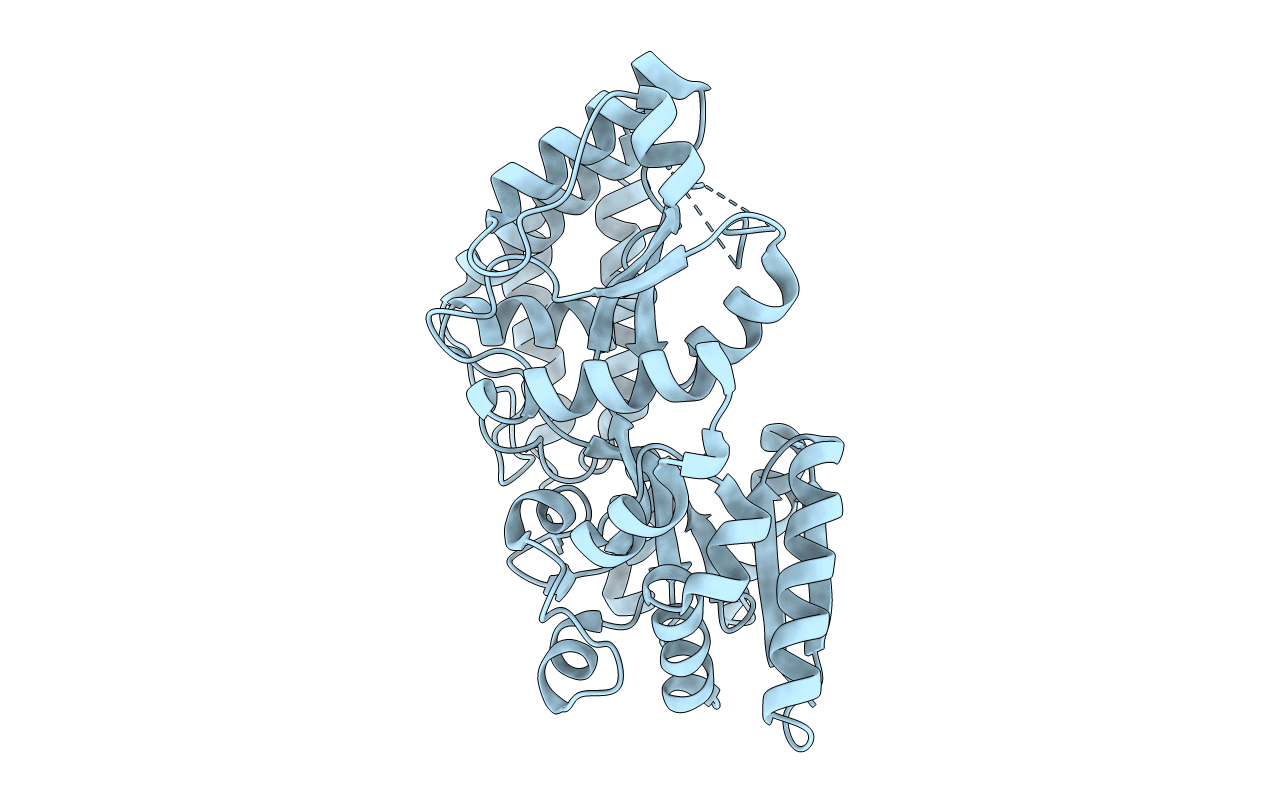 5Z6C image