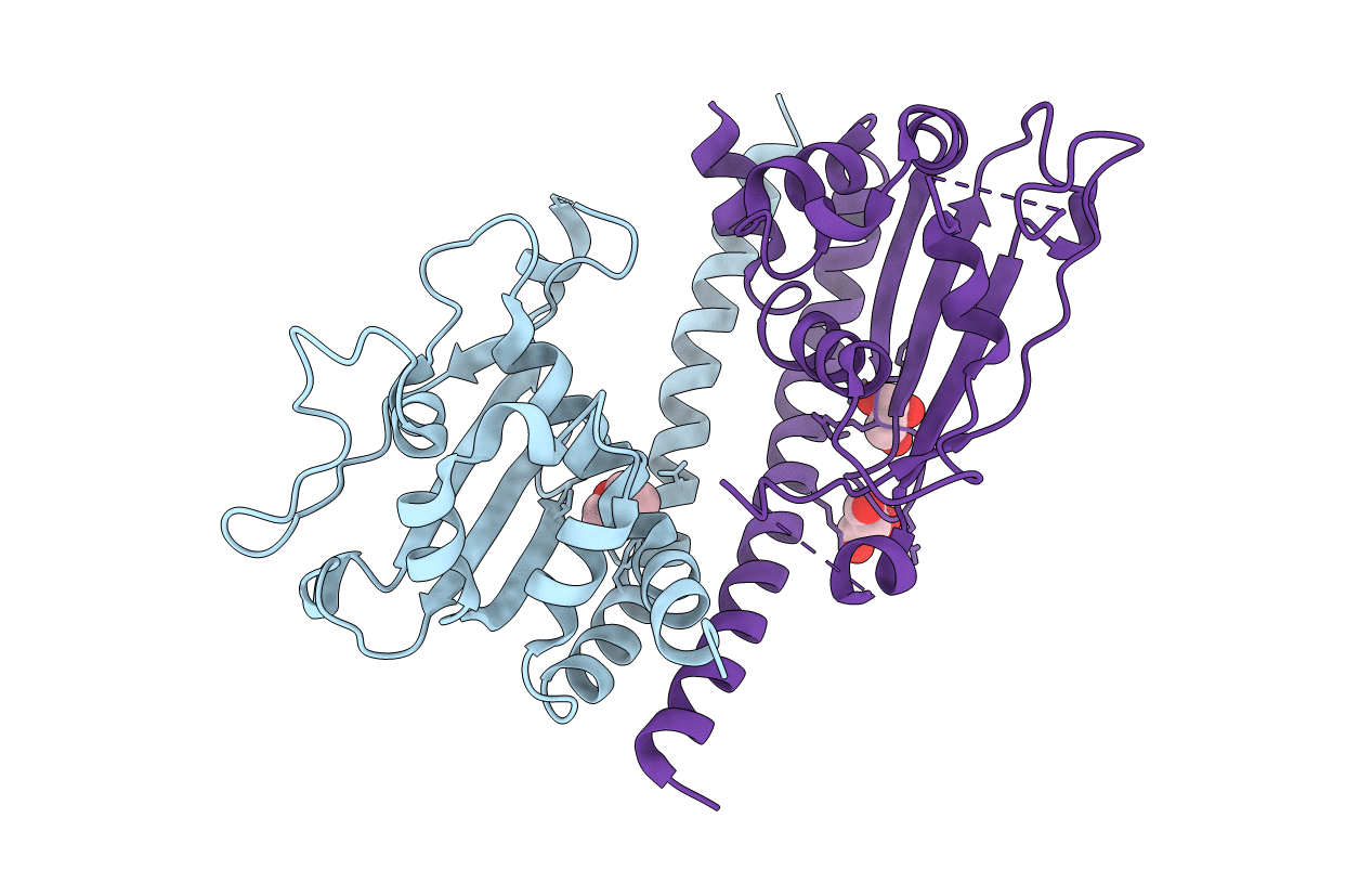 5ZB5 image
