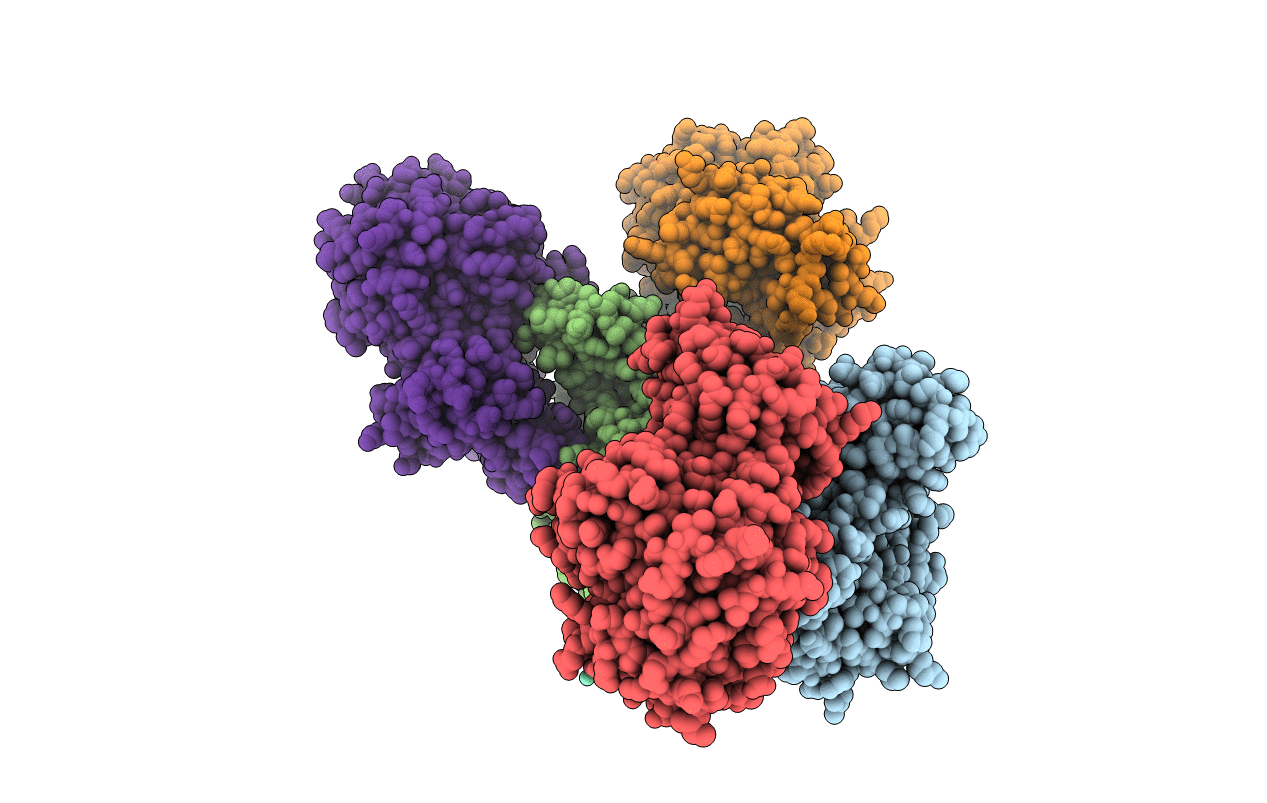 5ZB8 image