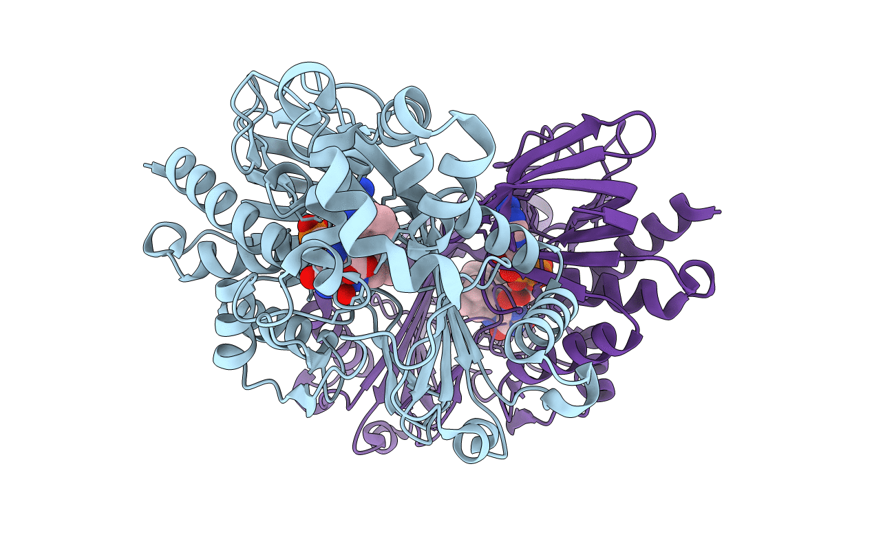 5ZBD image