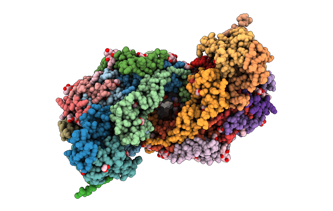 5ZCP image