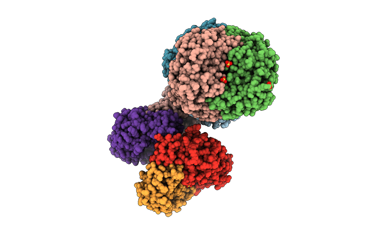 5ZCT image