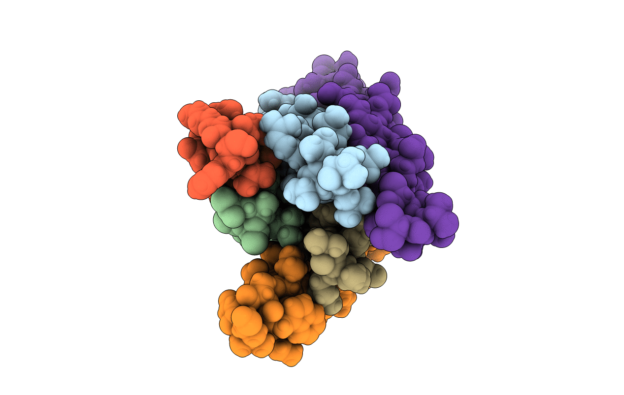 5ZCX image