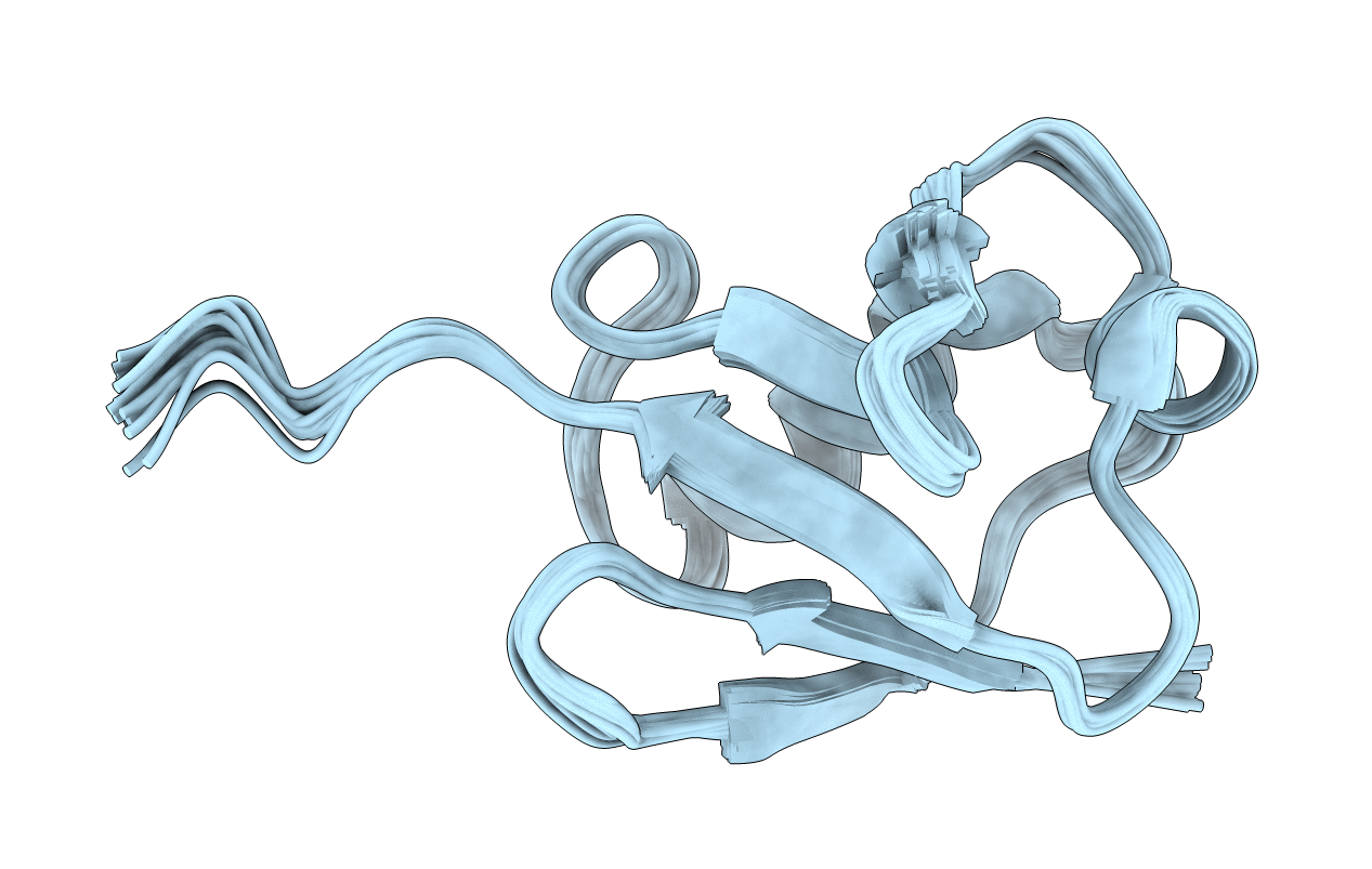 5ZD0 image
