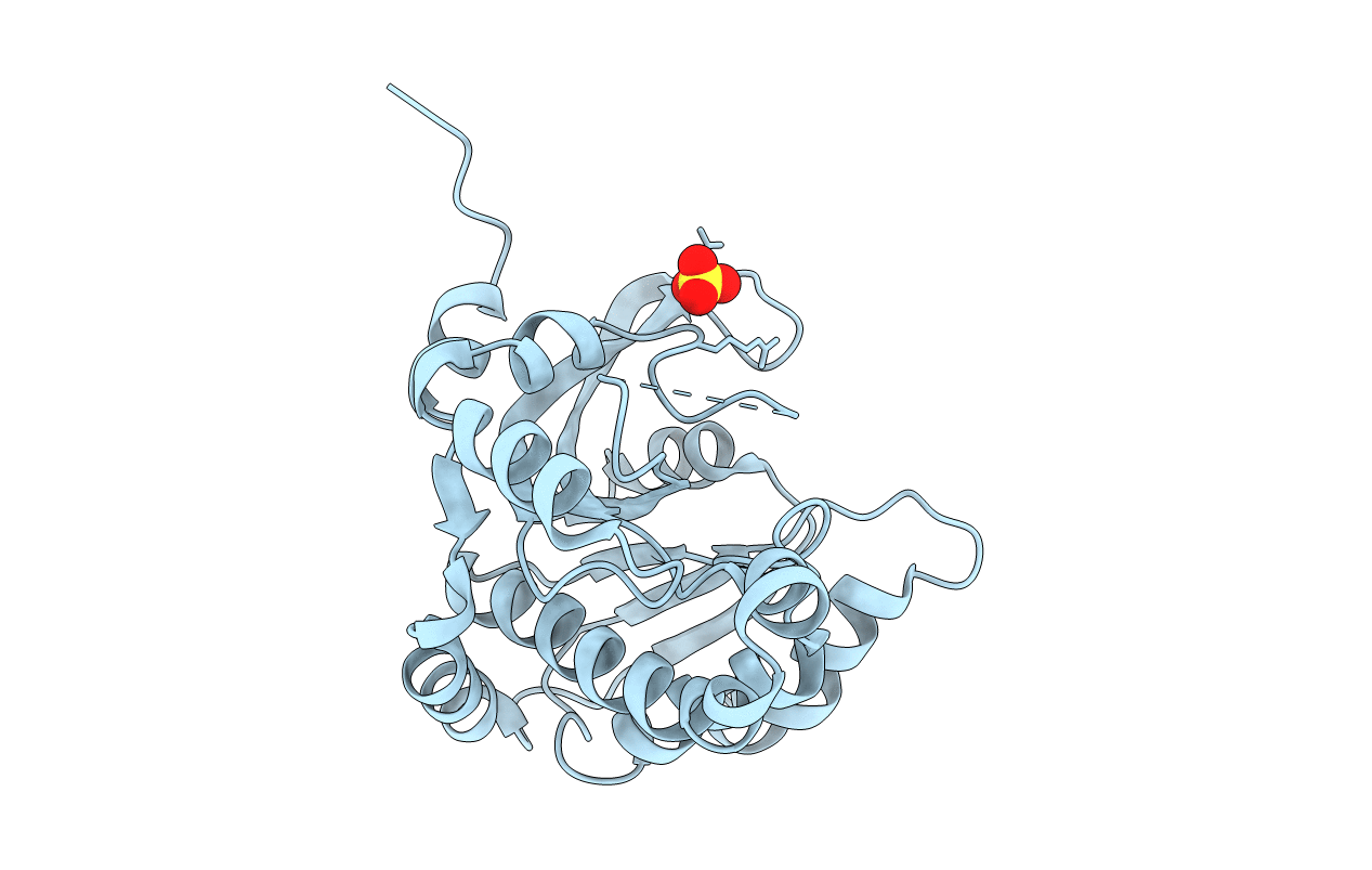 5ZDA image