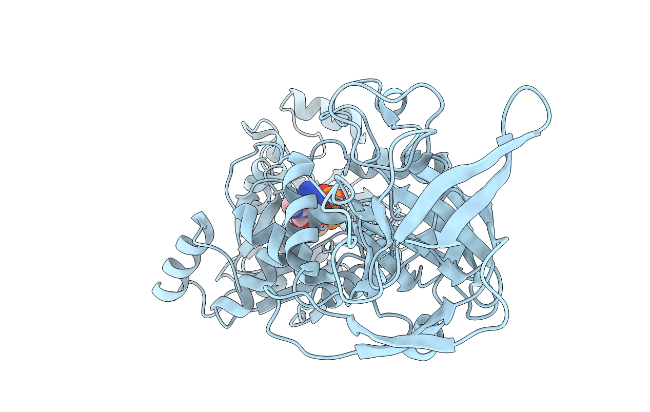 5ZDL image