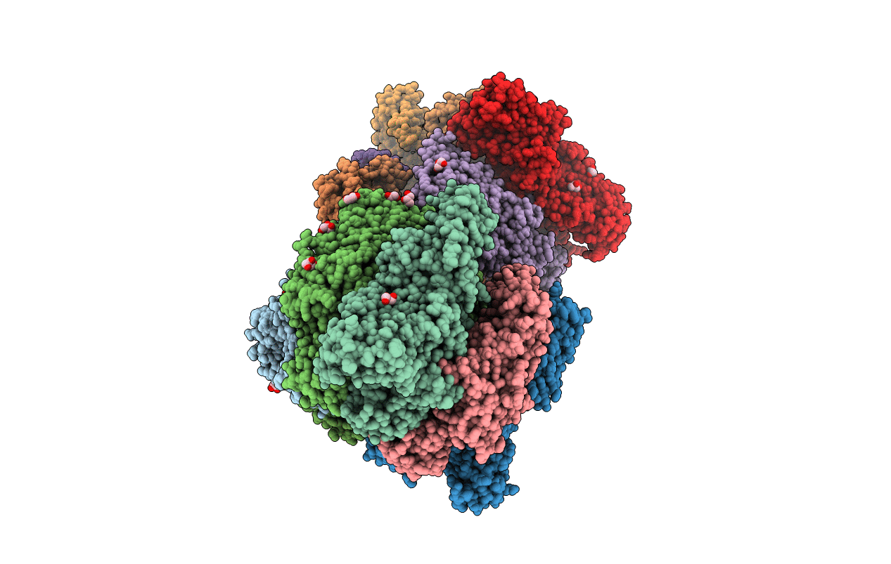5ZEA image