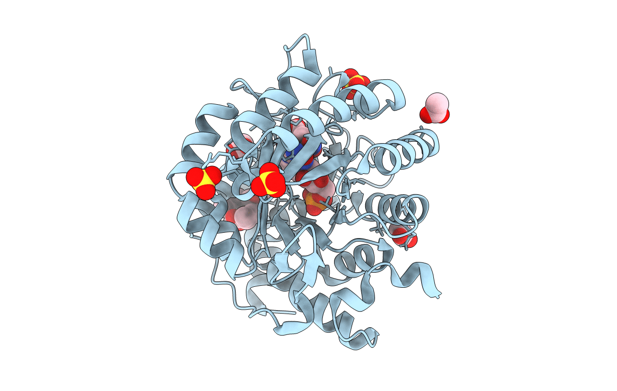 5ZFA image