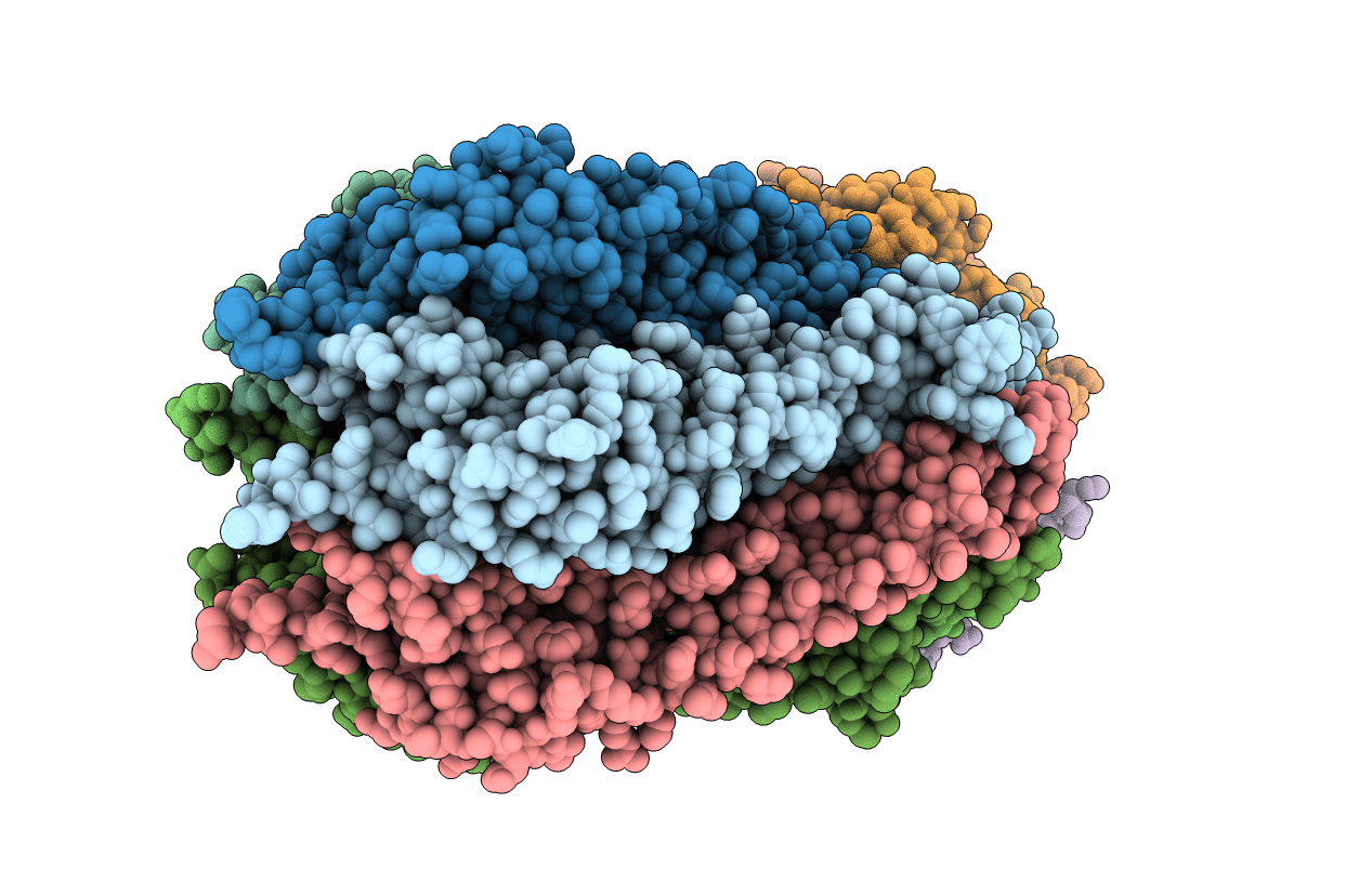 5ZFP image