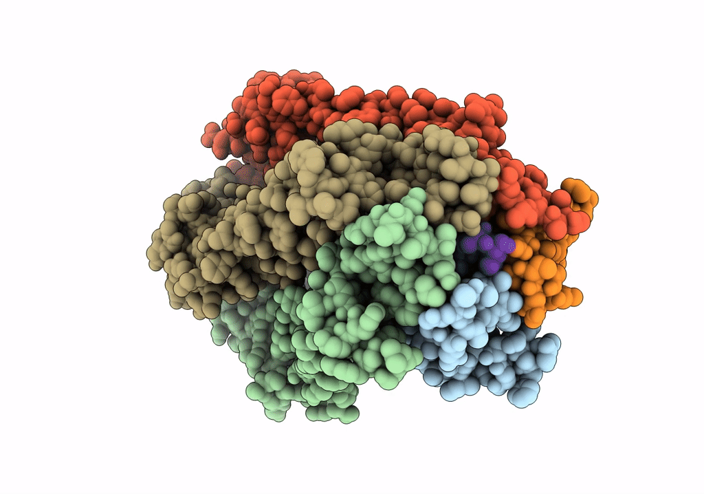 5ZFV image