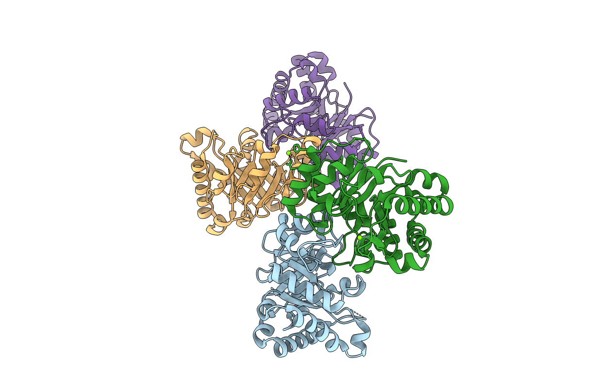 5ZFX image