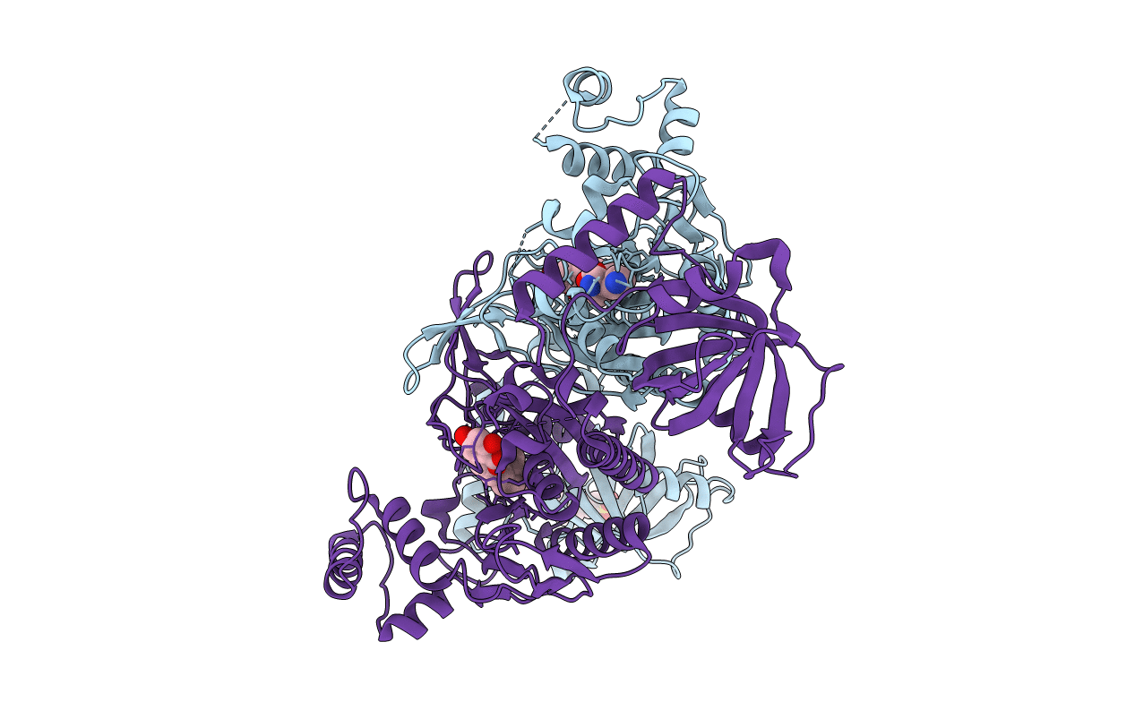 5ZH2 image