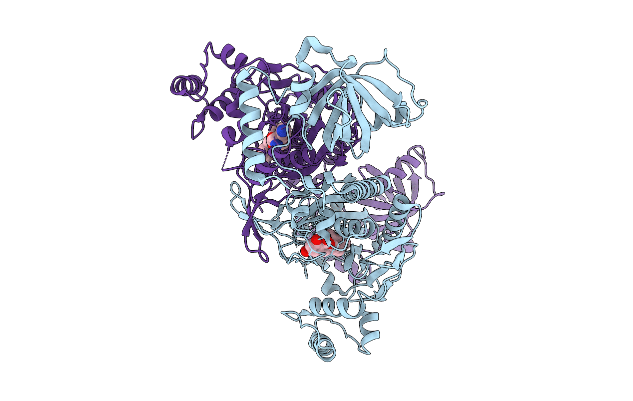 5ZH4 image