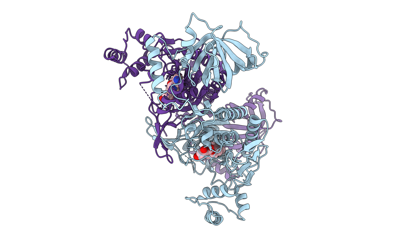 5ZH5 image