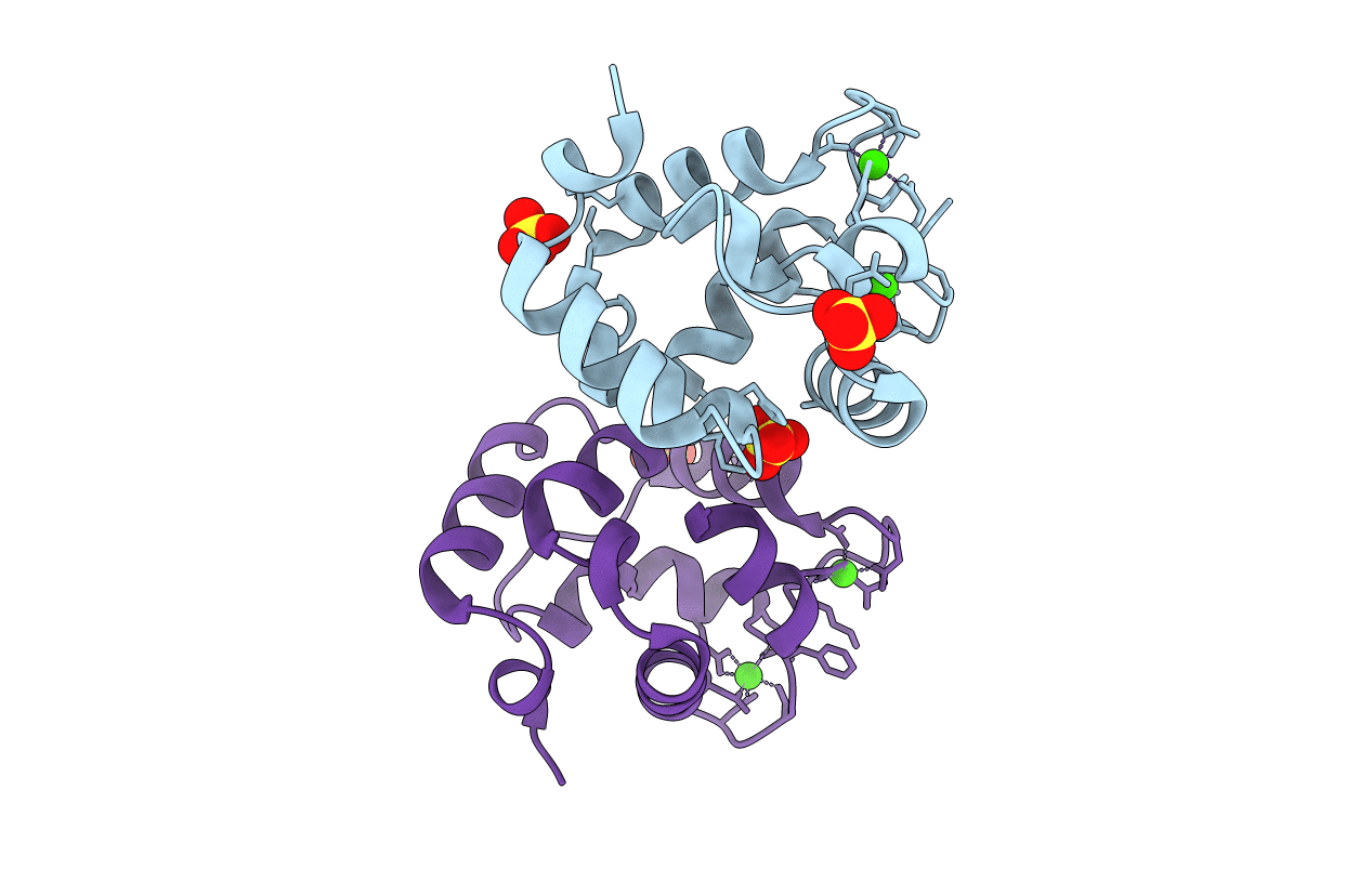 5ZH6 image