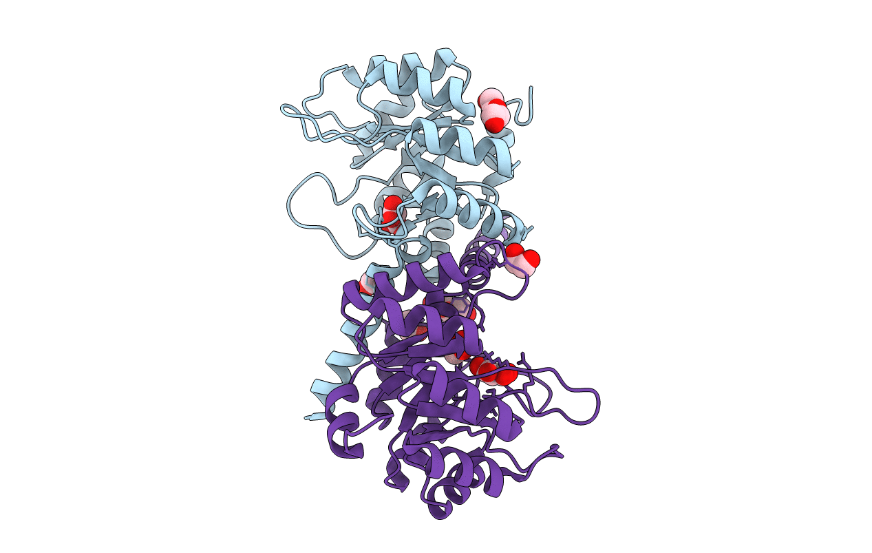 5ZJB image