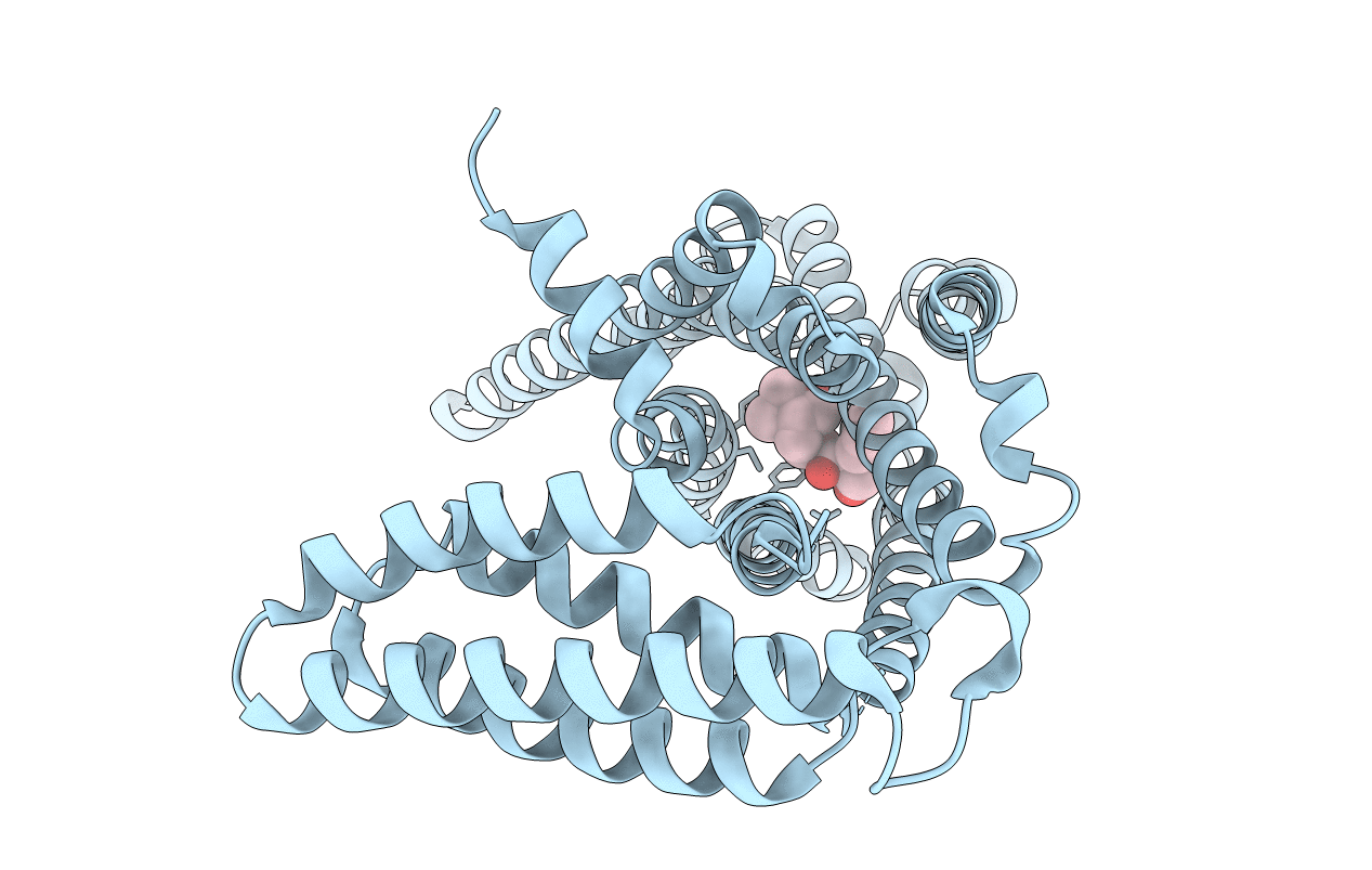 5ZKC image