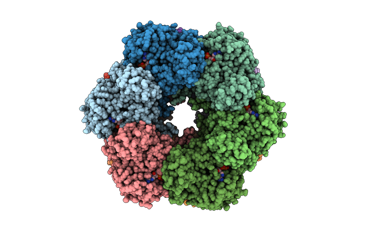 5ZLP image