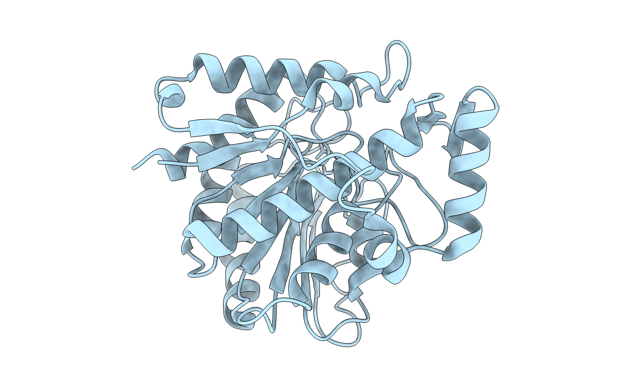 5ZMP image