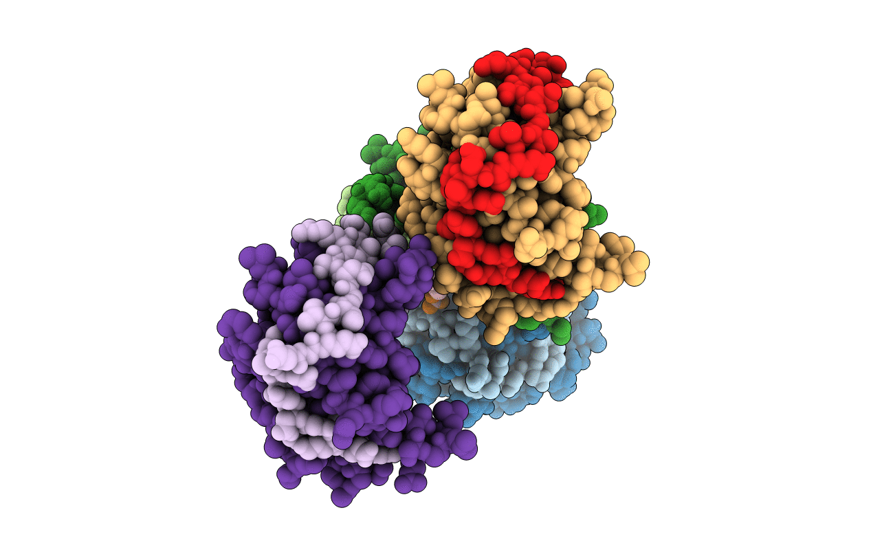 5ZMS image