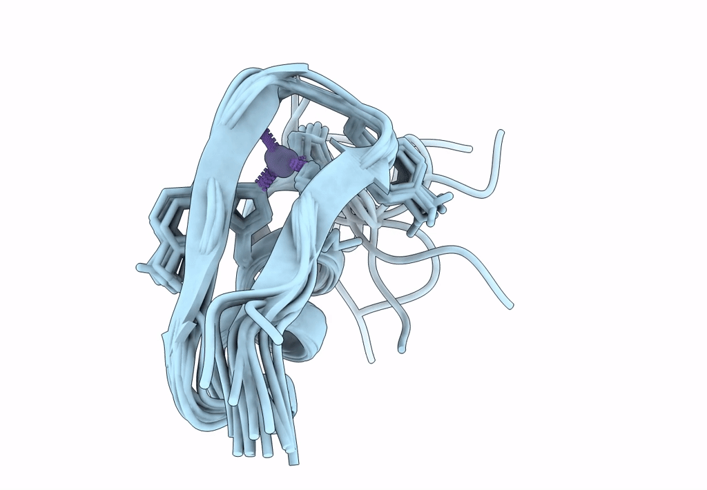 5ZNF image