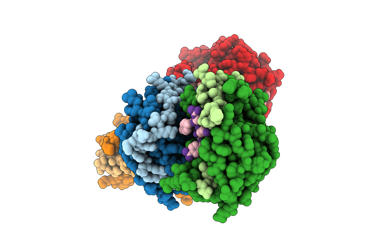 5ZOB image