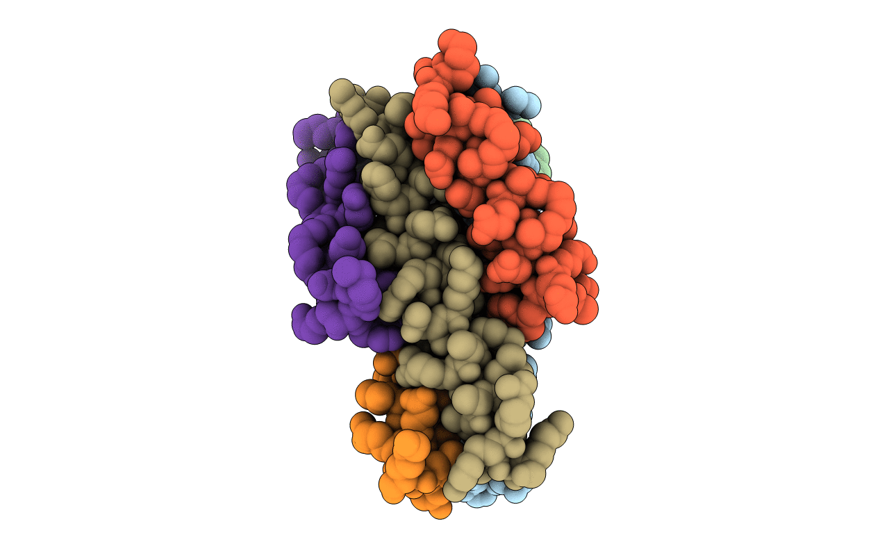 5ZPW image